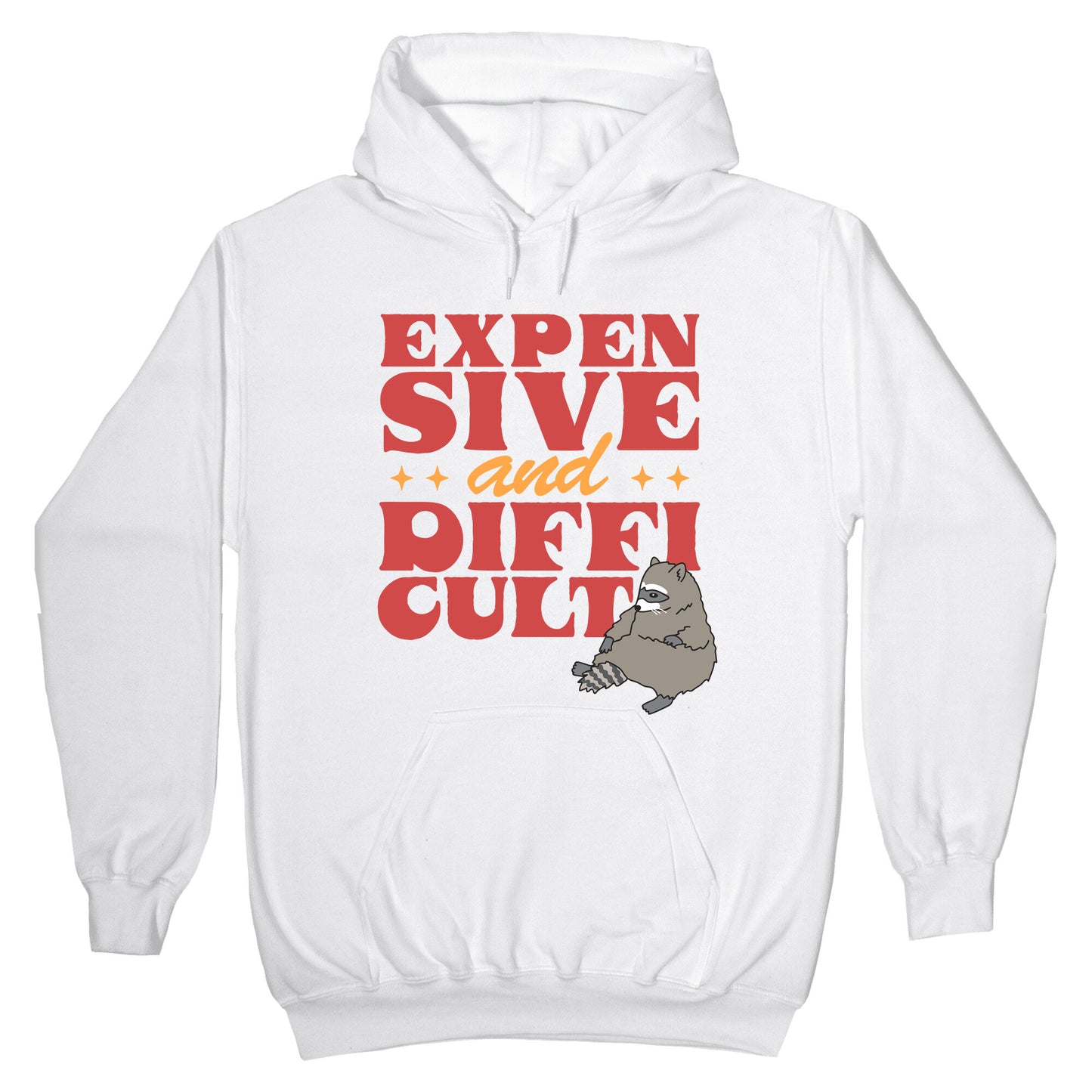 Raccoon Expensive and Difficult Hoodie