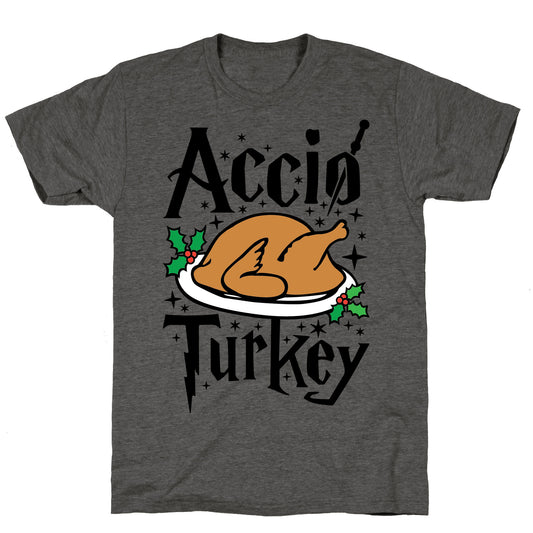 Accio Turkey Unisex Triblend Tee