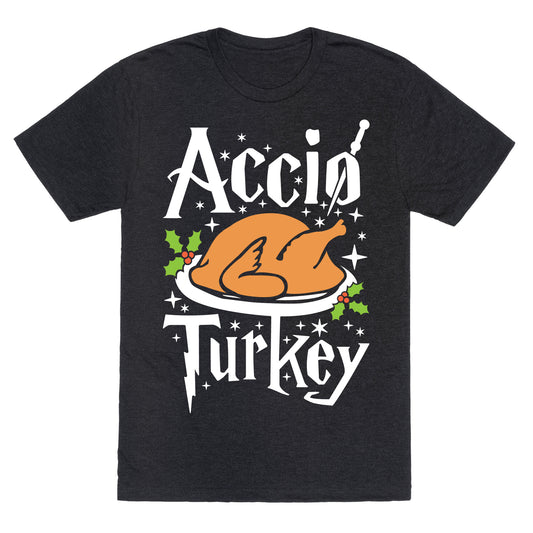 Accio Turkey Unisex Triblend Tee