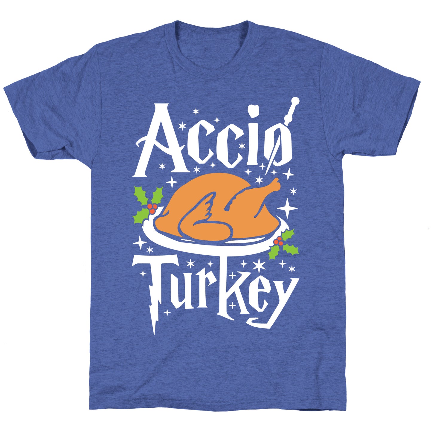 Accio Turkey Unisex Triblend Tee