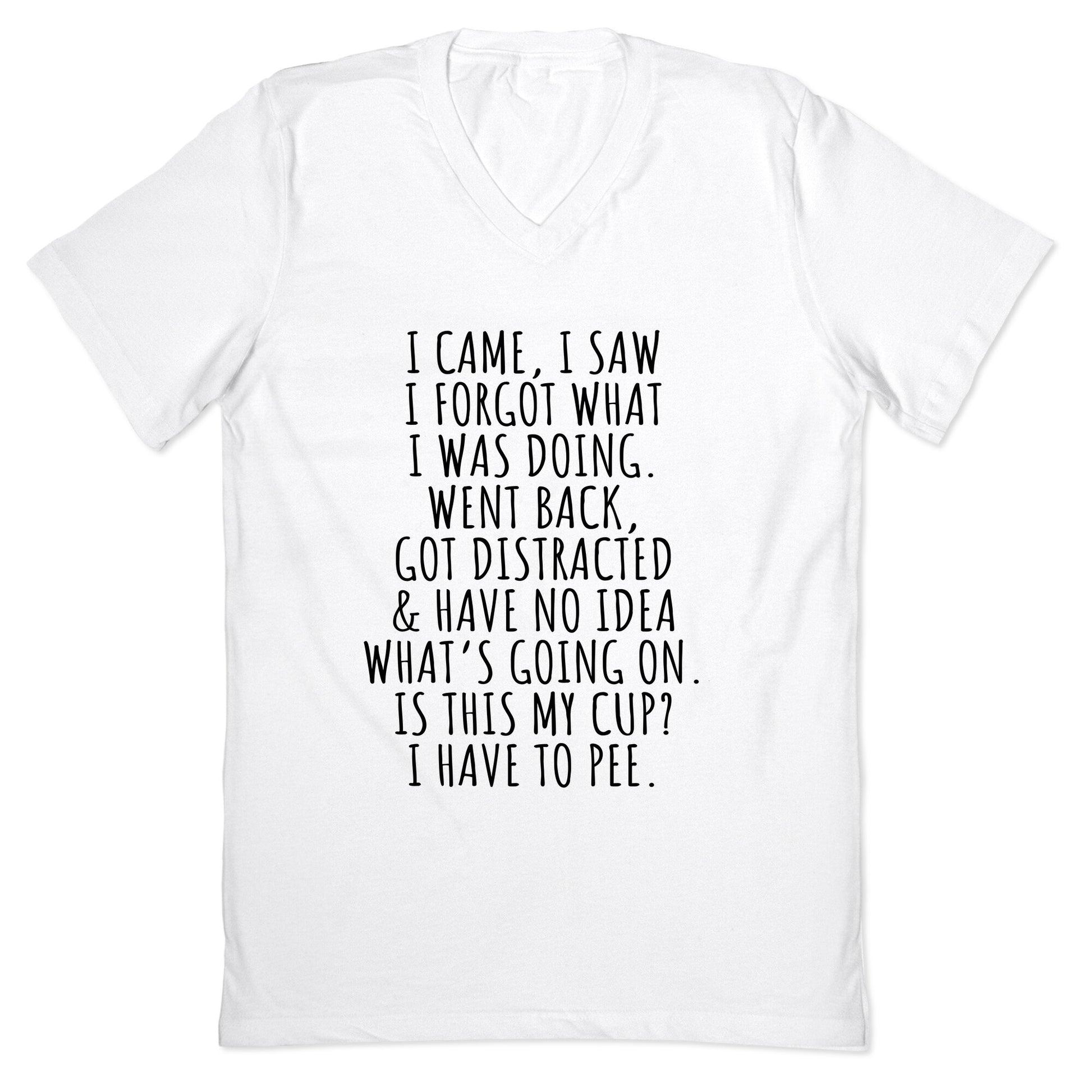 I Came I Saw I Forgot What I Was Doing V-Neck