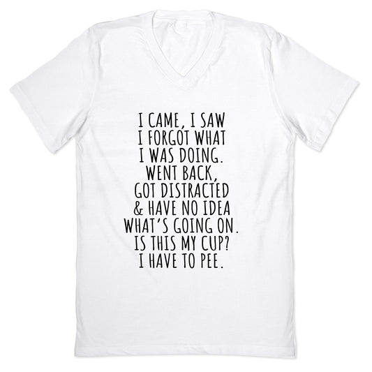 I Came I Saw I Forgot What I Was Doing V-Neck