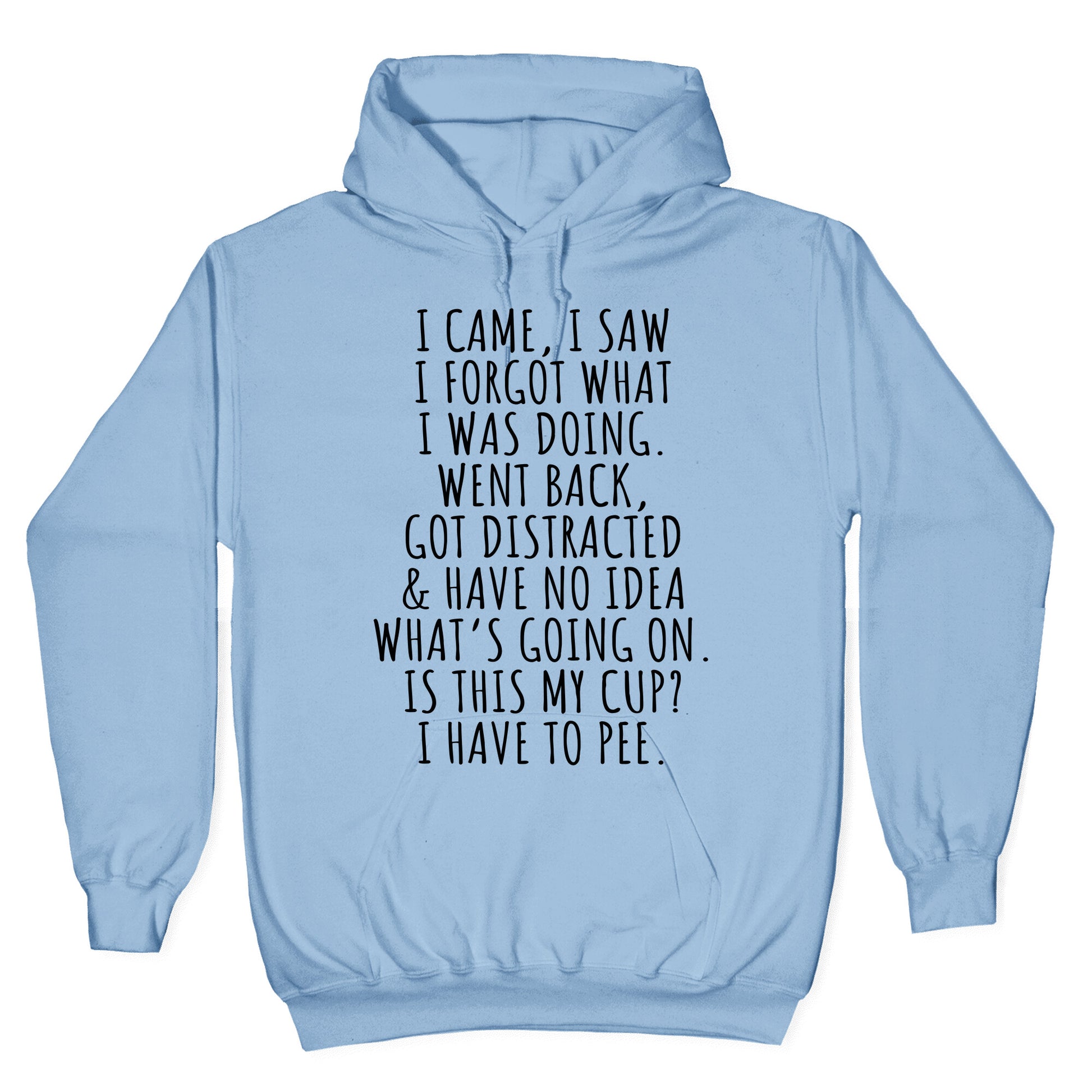 I Came I Saw I Forgot What I Was Doing Hoodie