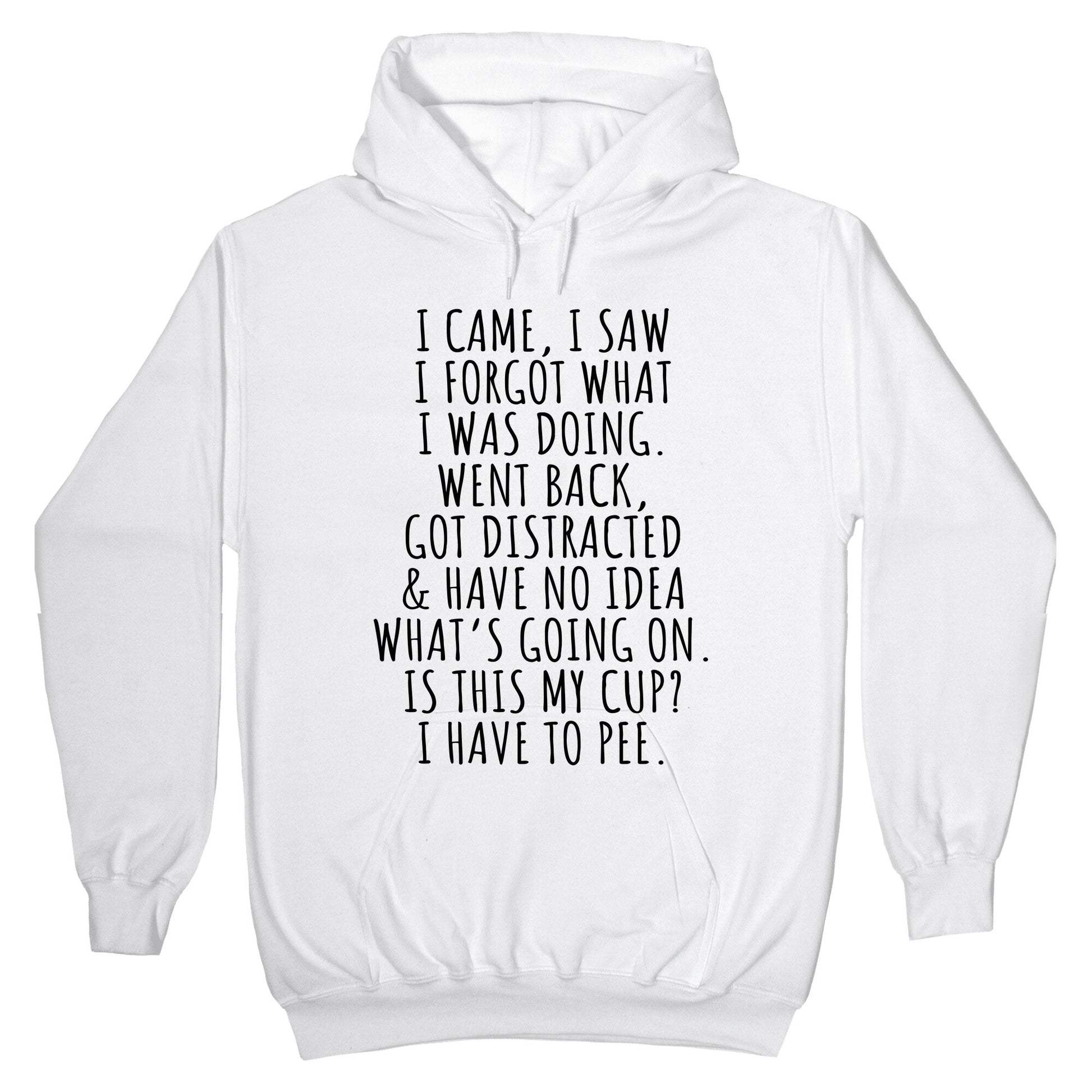 I Came I Saw I Forgot What I Was Doing Hoodie