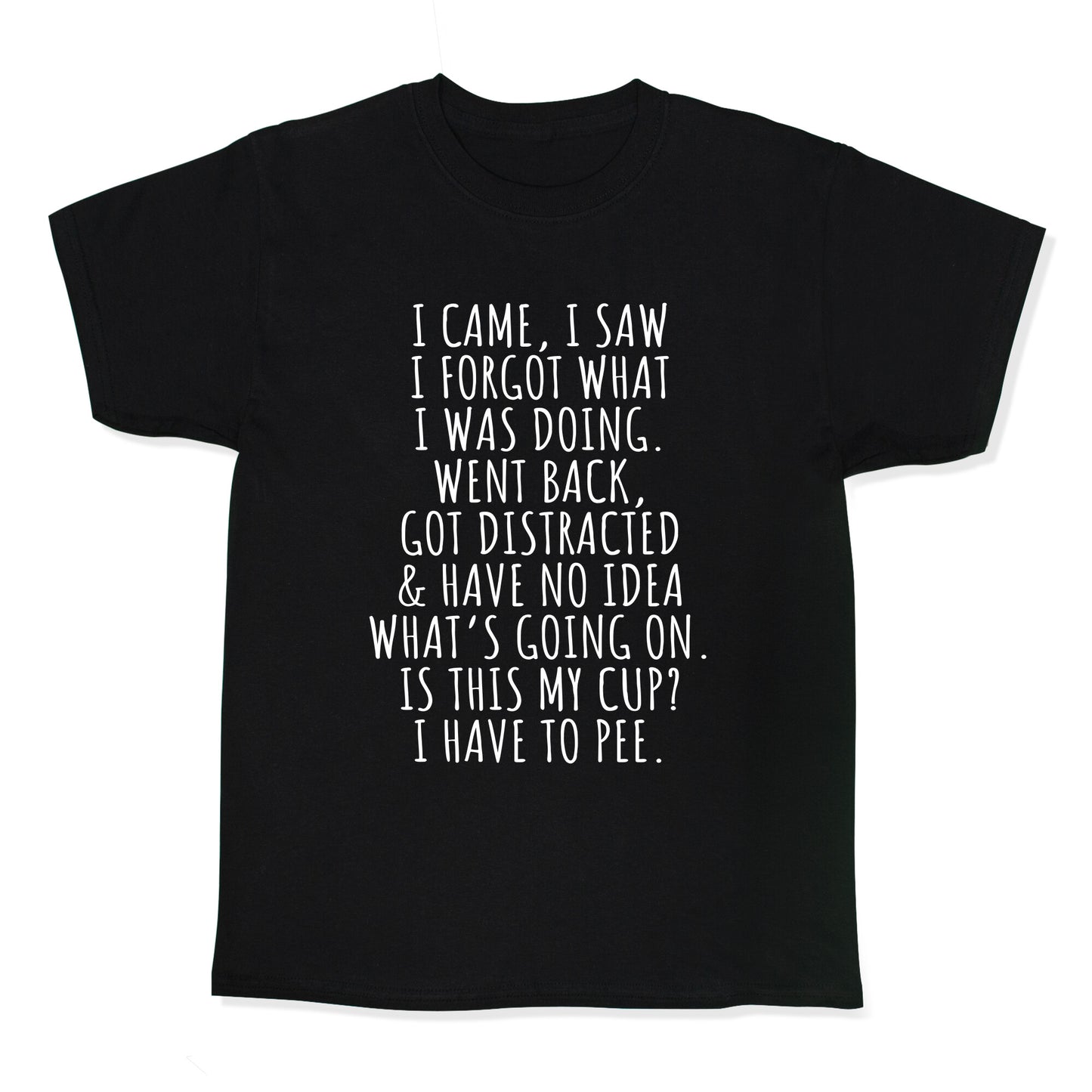 I Came I Saw I Forgot What I Was Doing Kids Tee