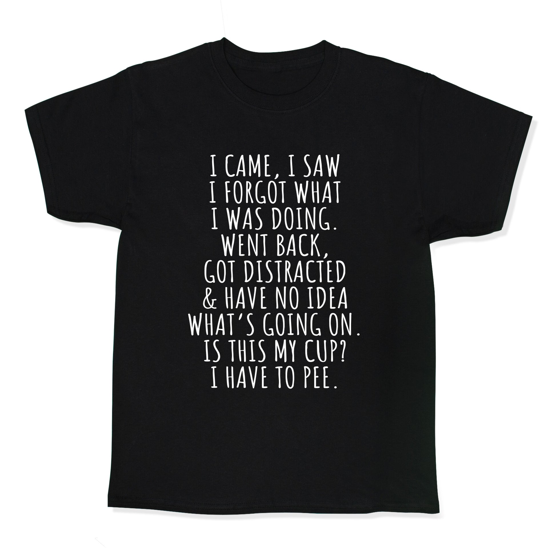 I Came I Saw I Forgot What I Was Doing Kids Tee
