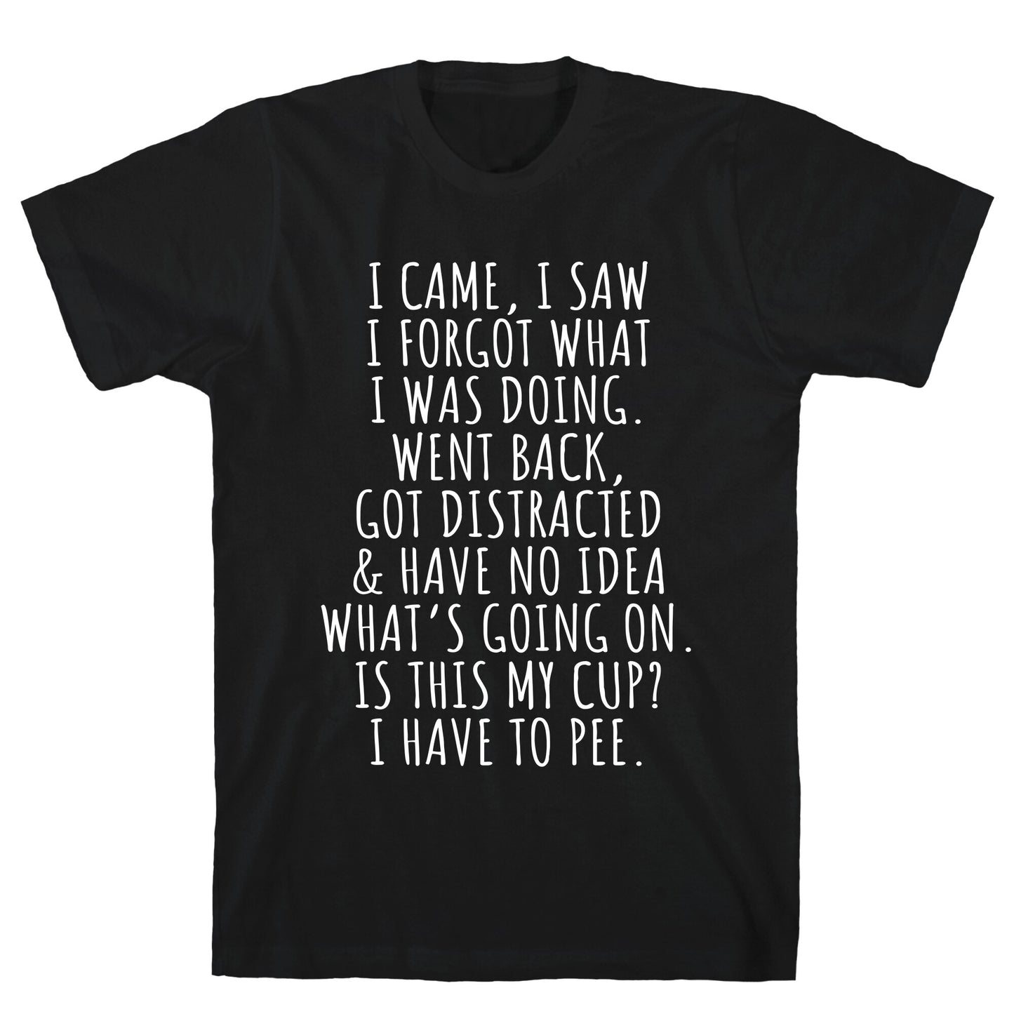 I Came I Saw I Forgot What I Was Doing T-Shirt