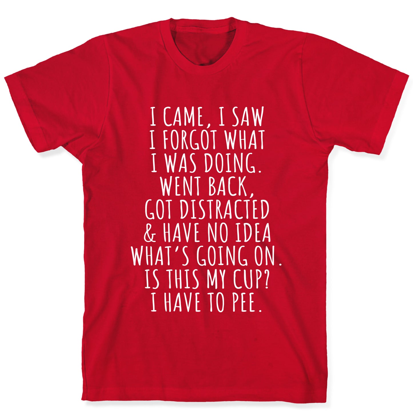 I Came I Saw I Forgot What I Was Doing T-Shirt