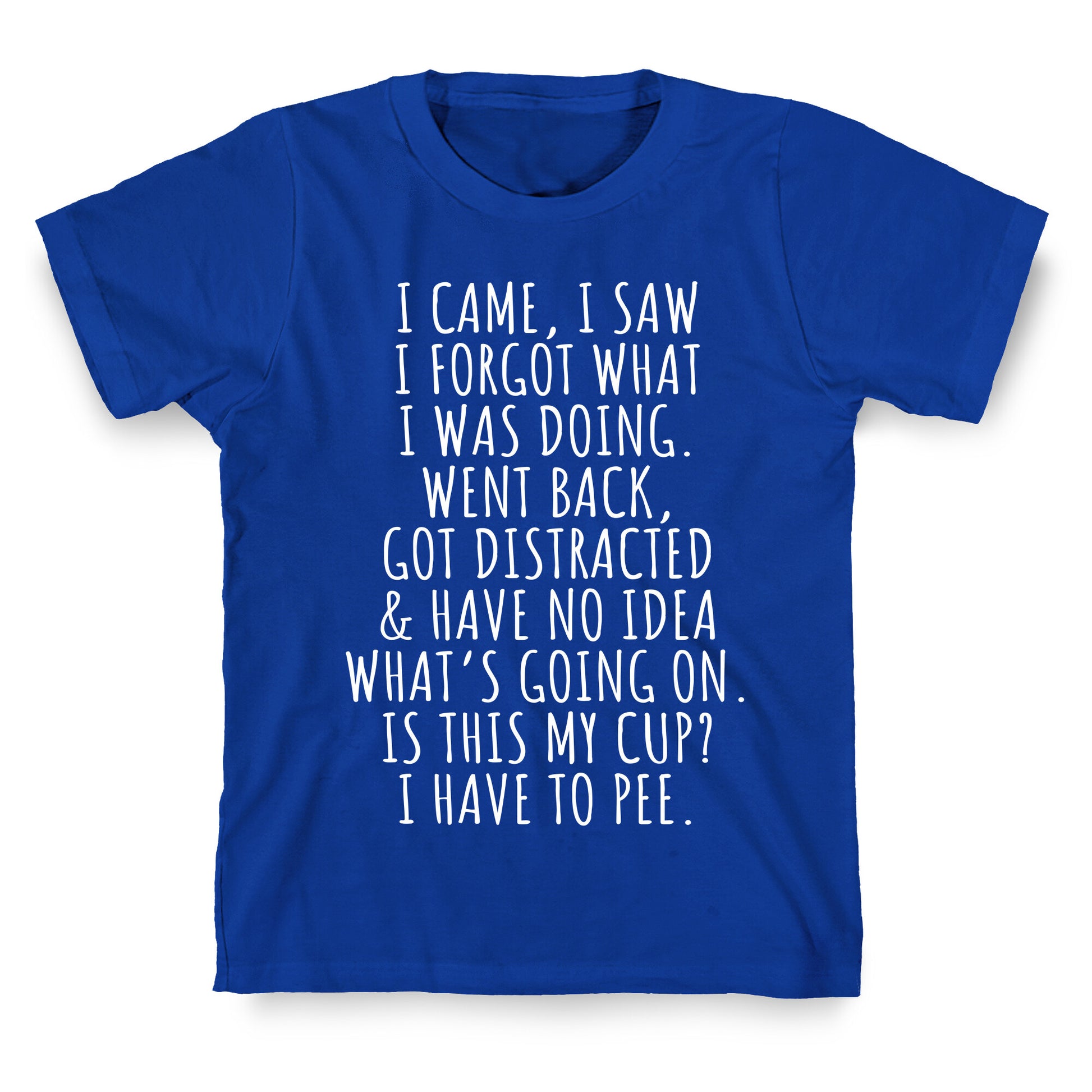 I Came I Saw I Forgot What I Was Doing T-Shirt