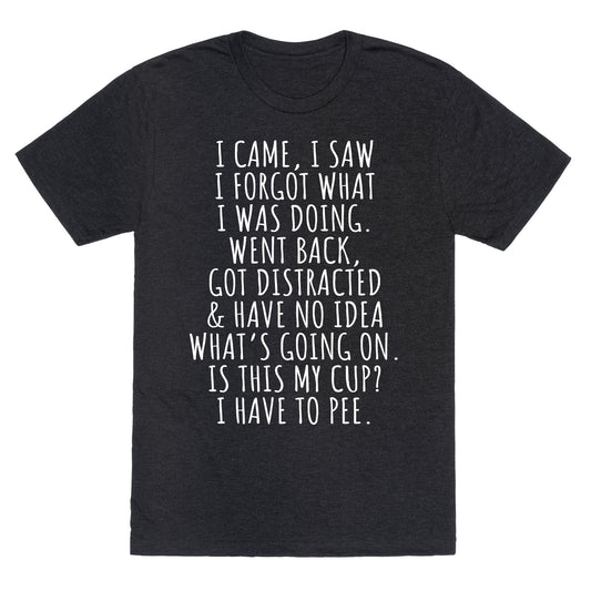 I Came I Saw I Forgot What I Was Doing Unisex Triblend Tee