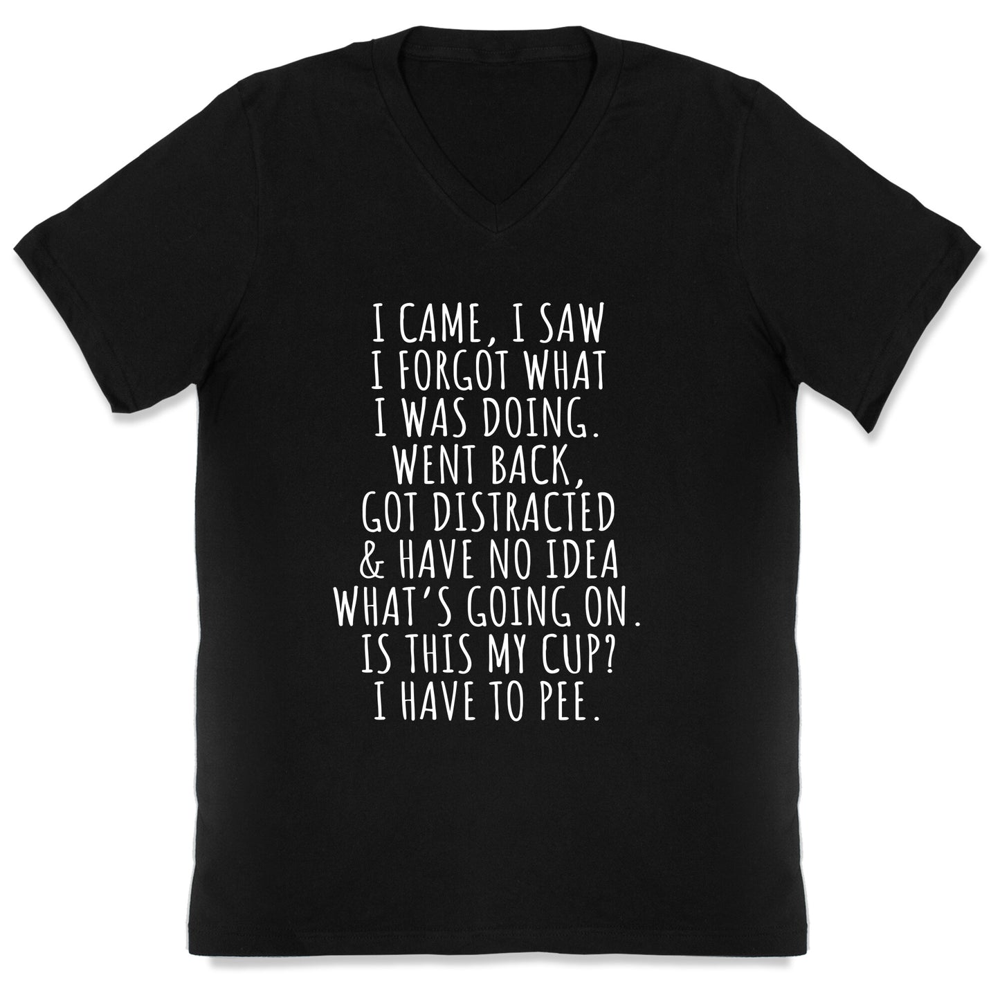 I Came I Saw I Forgot What I Was Doing V-Neck