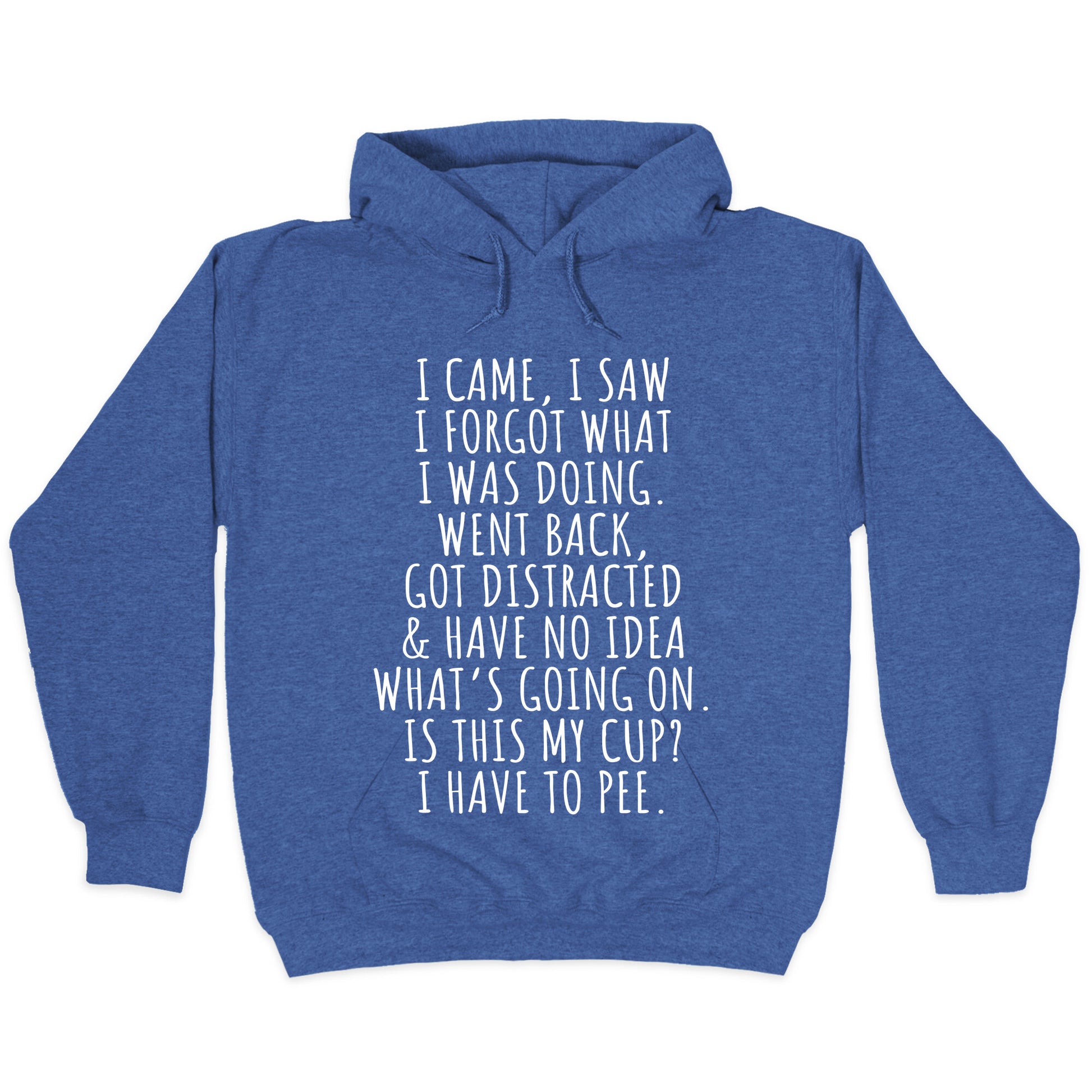 I Came I Saw I Forgot What I Was Doing Hoodie