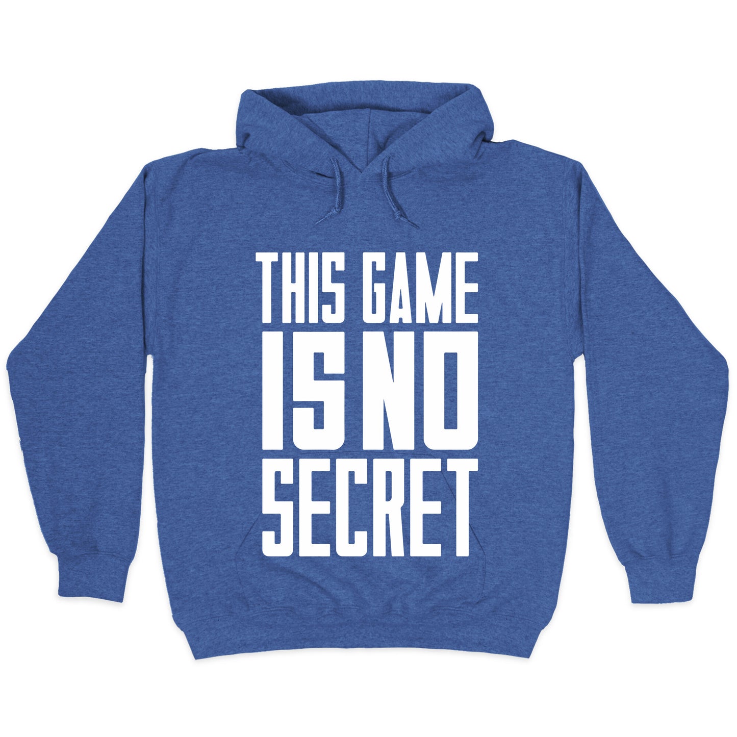 This Game Is No Secret Hoodie