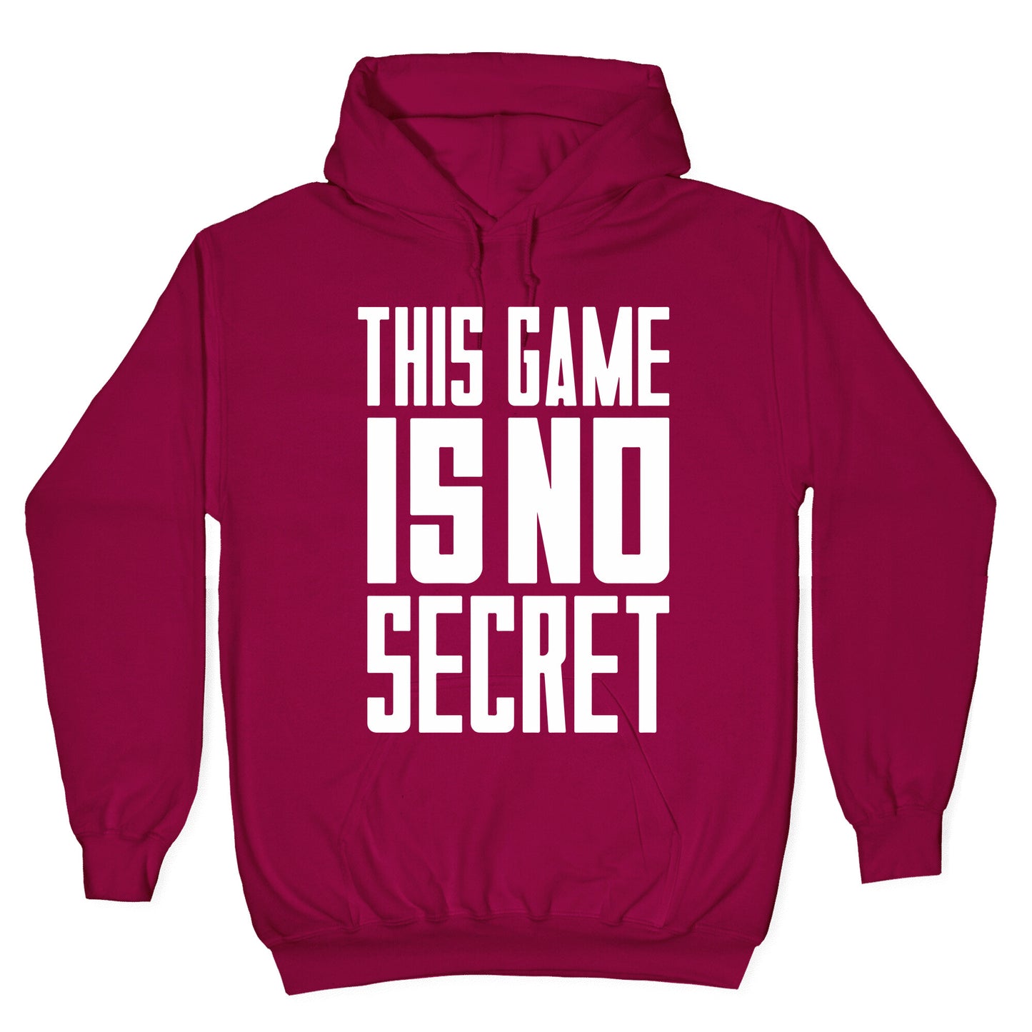 This Game Is No Secret Hoodie