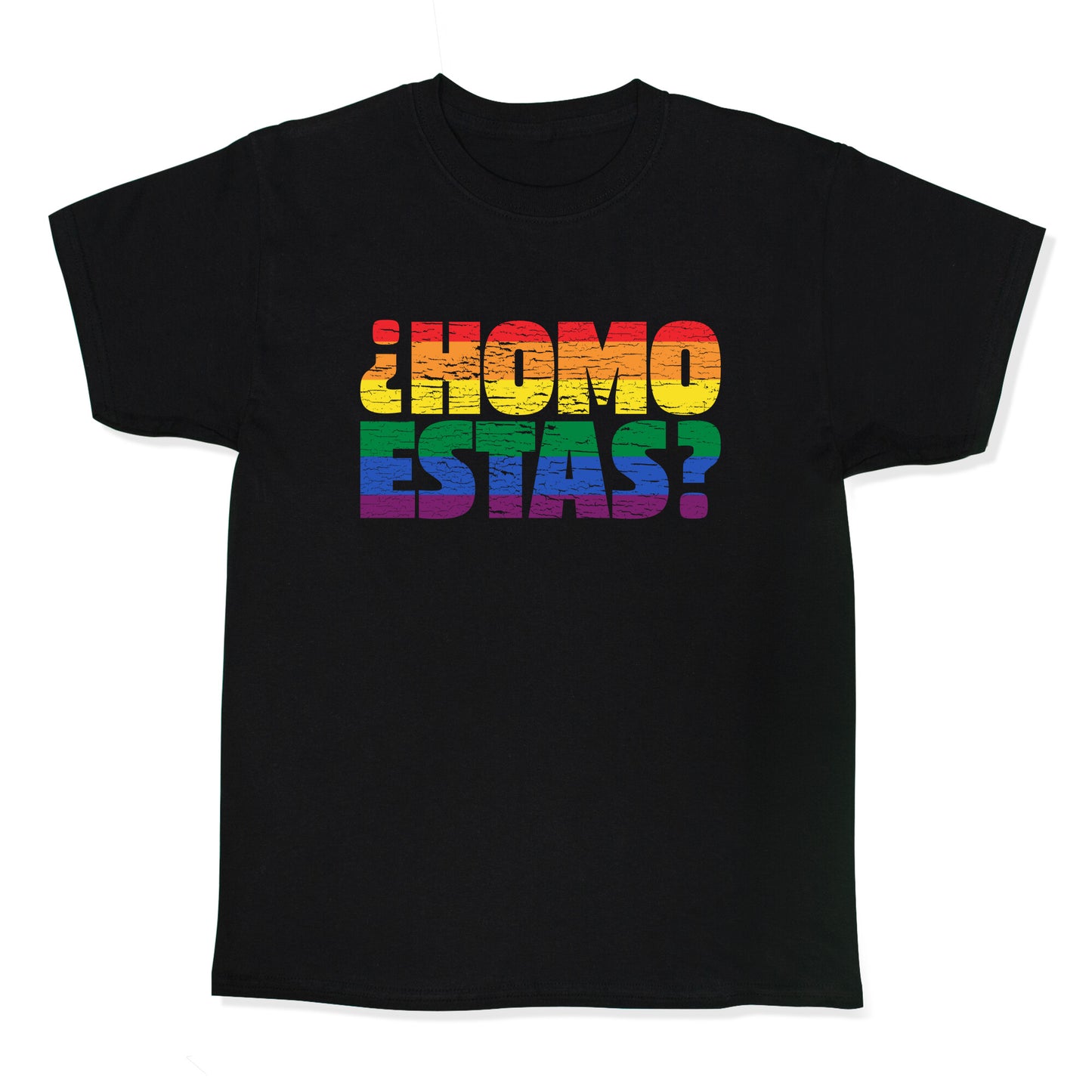 Homo Estas Kids Tee