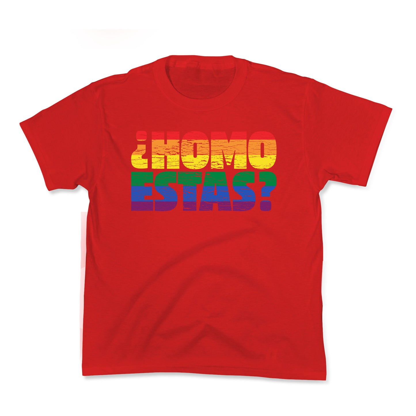 Homo Estas Kids Tee