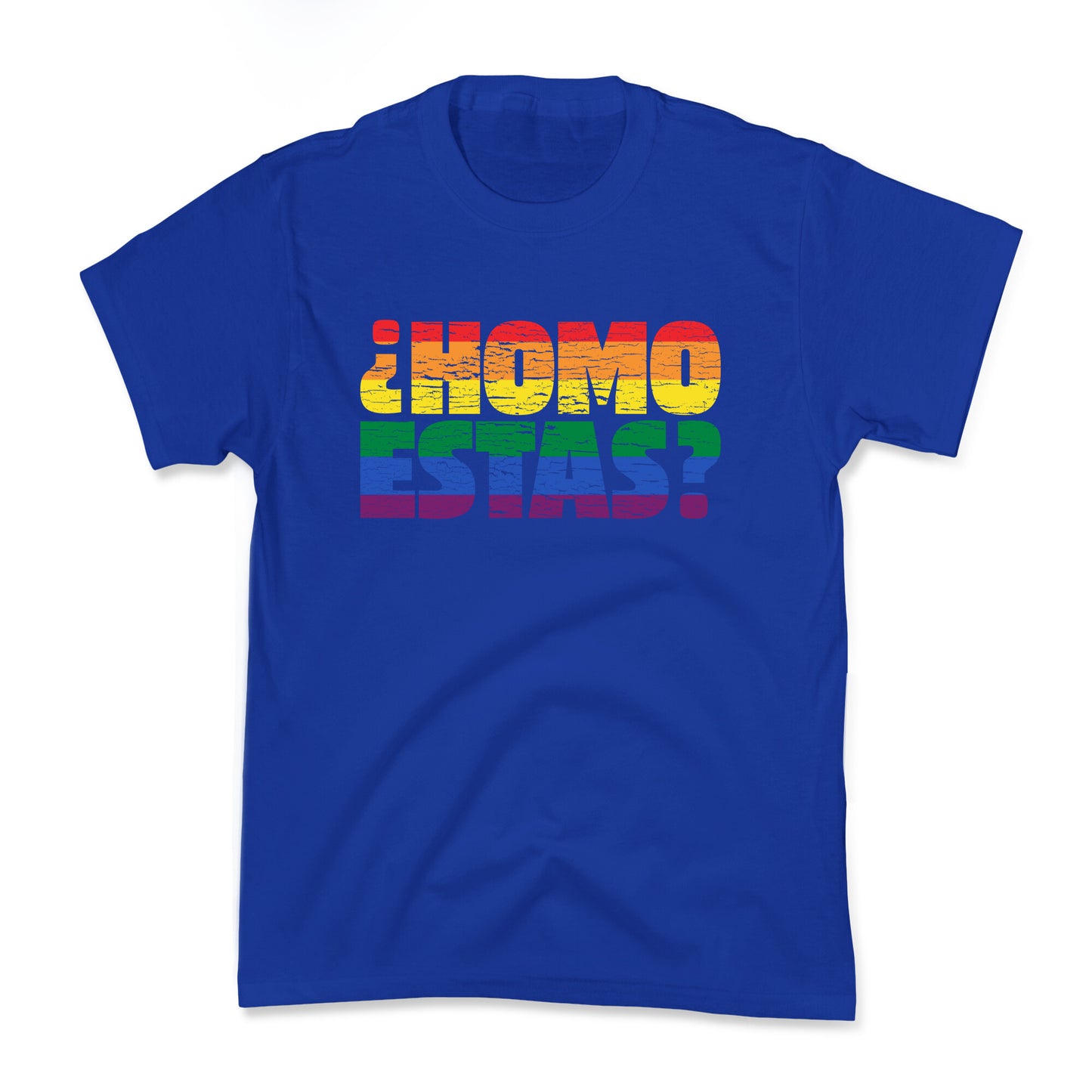 Homo Estas Kids Tee