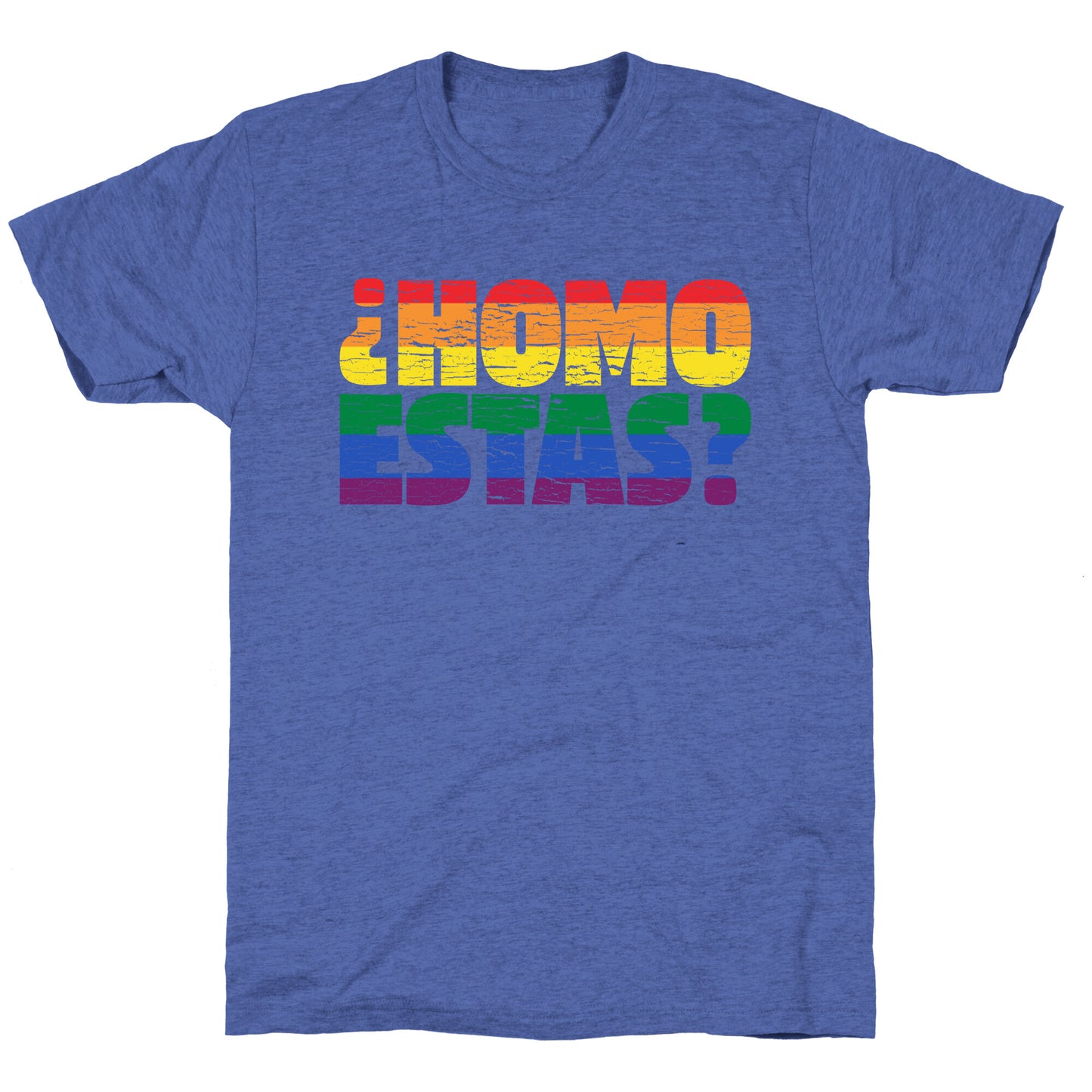 Homo Estas Unisex Triblend Tee