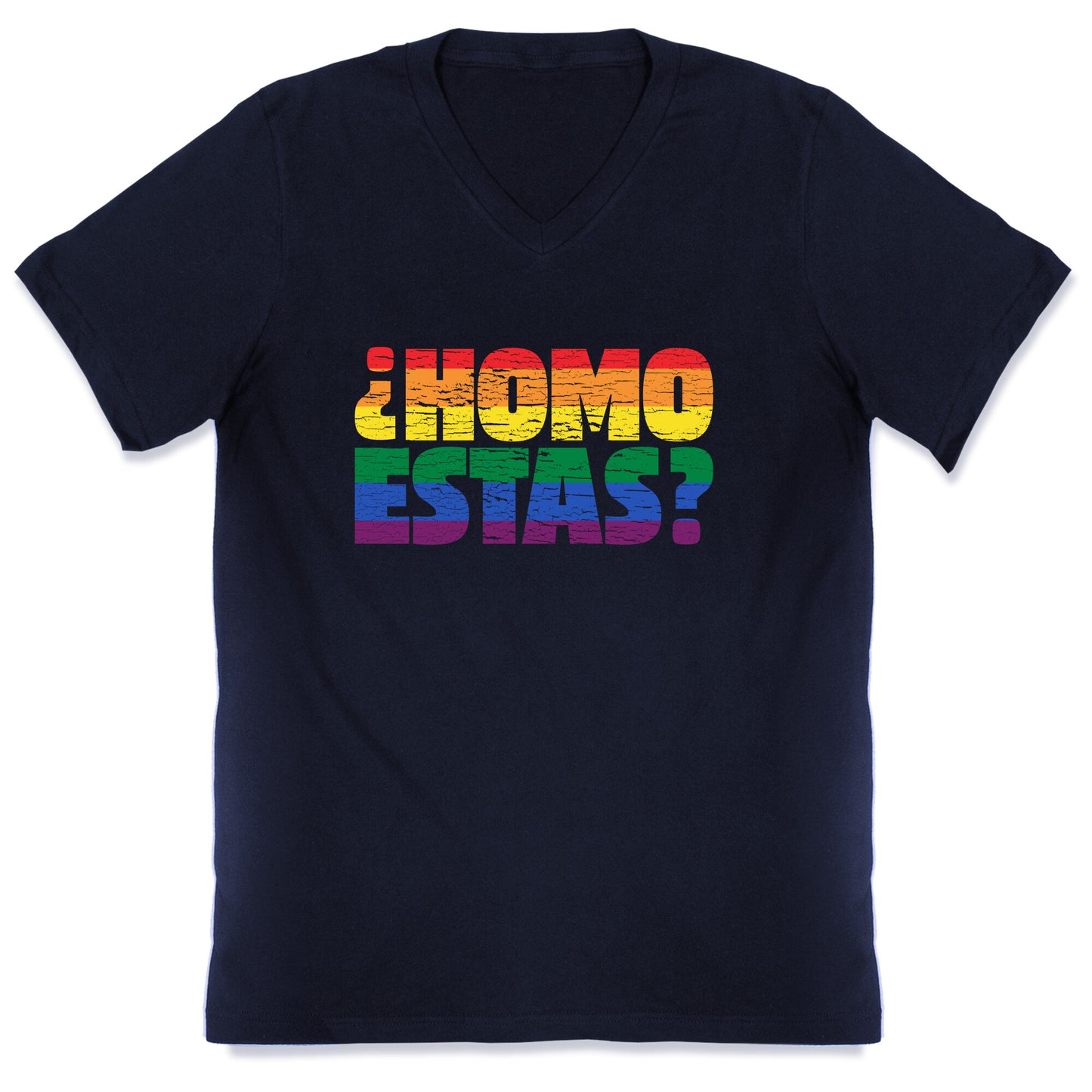 Homo Estas V-Neck