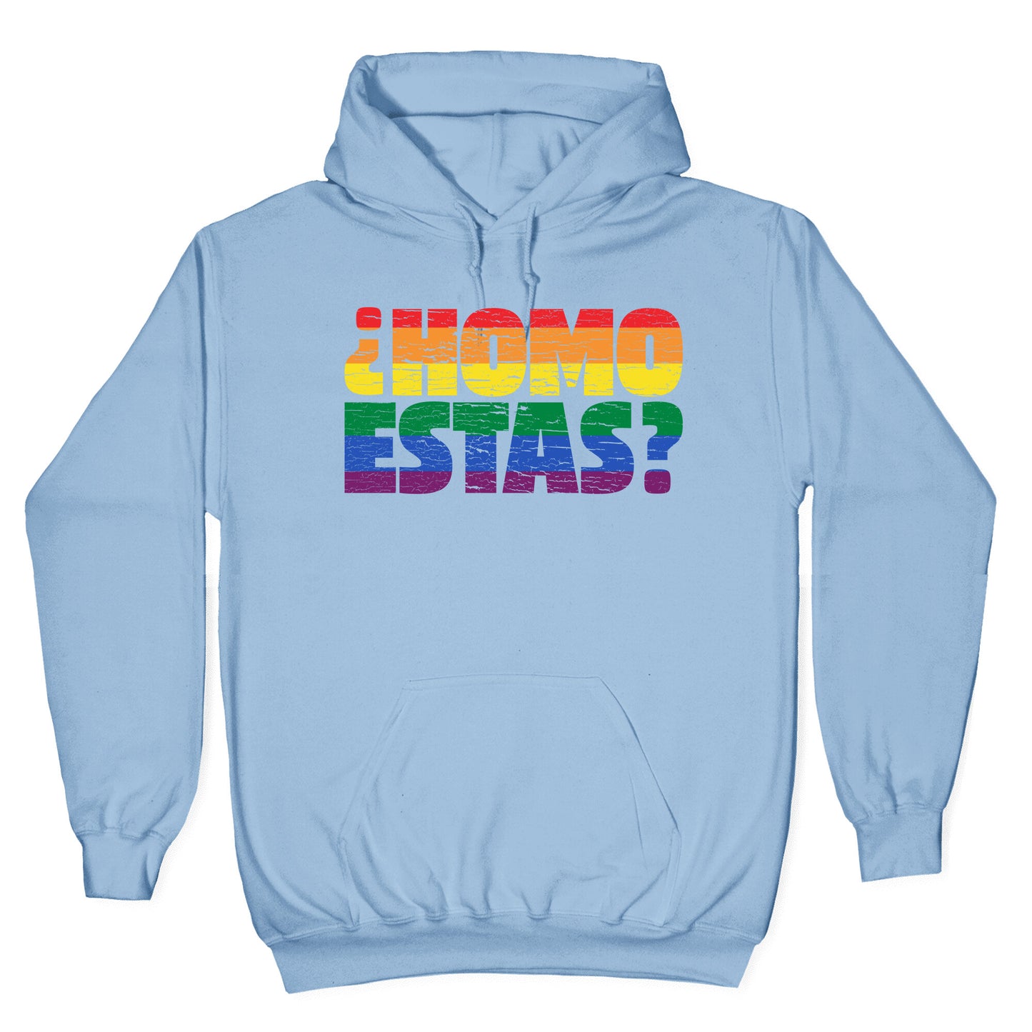 Homo Estas Hoodie