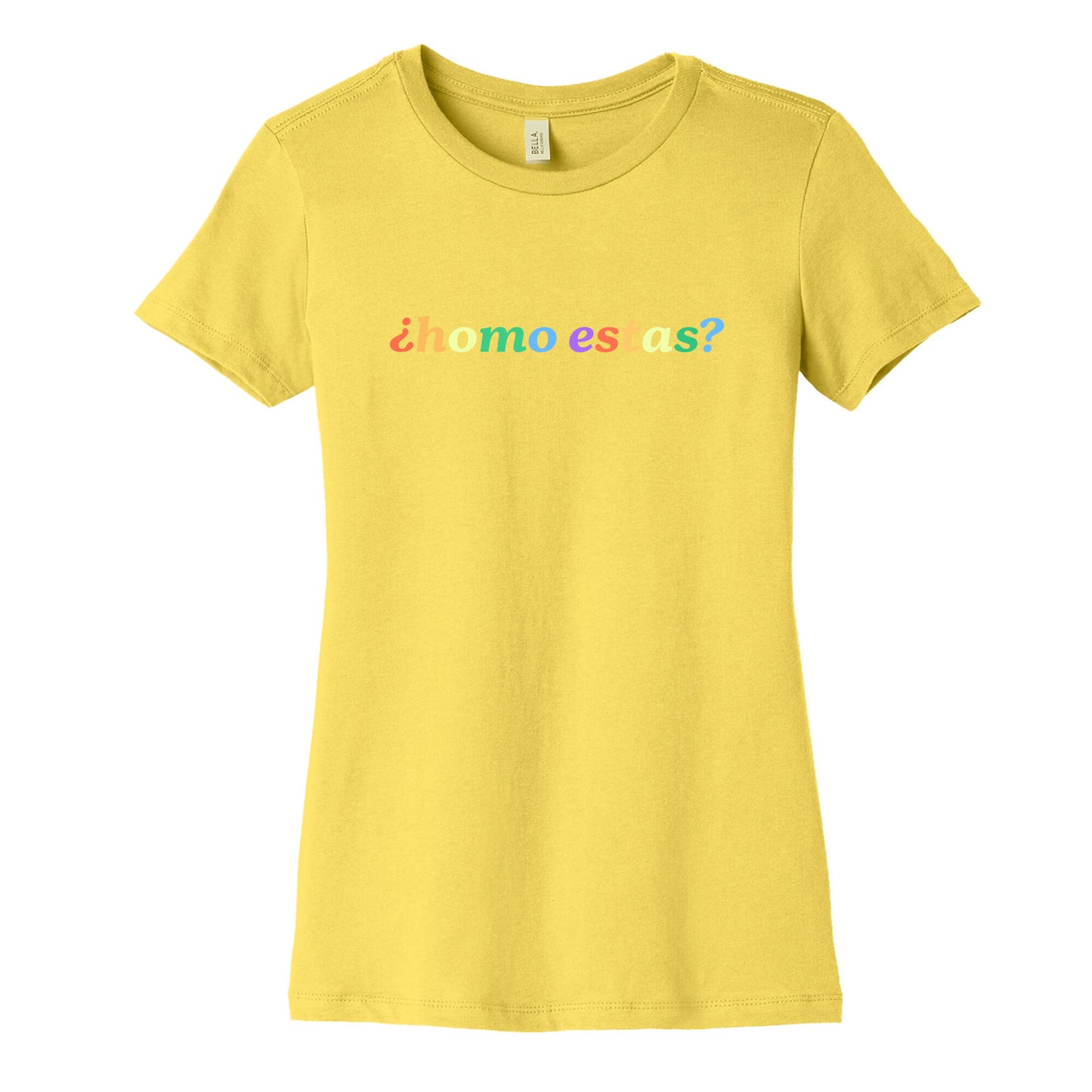 Homo Estas Rainbow Womens Cotton Tee