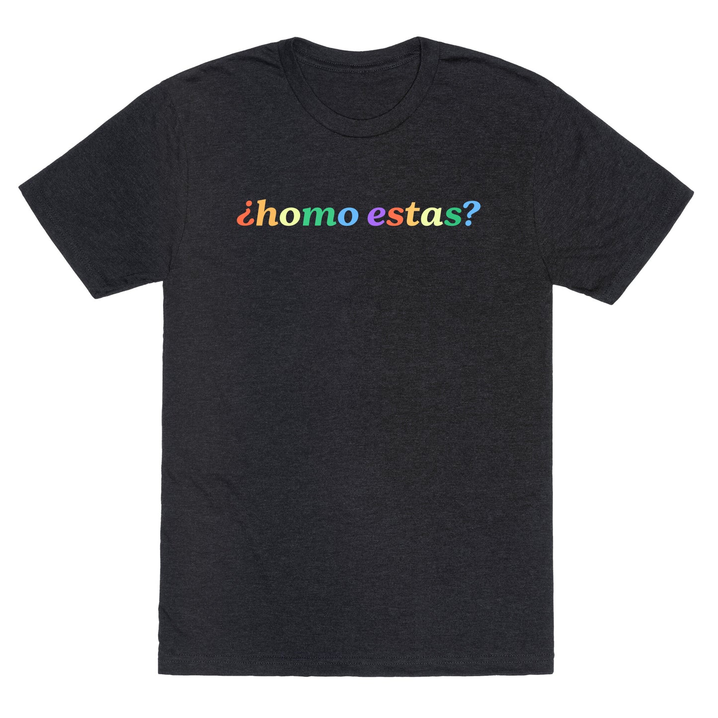 Homo Estas Rainbow Unisex Triblend Tee