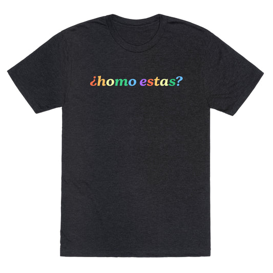Homo Estas Rainbow Unisex Triblend Tee