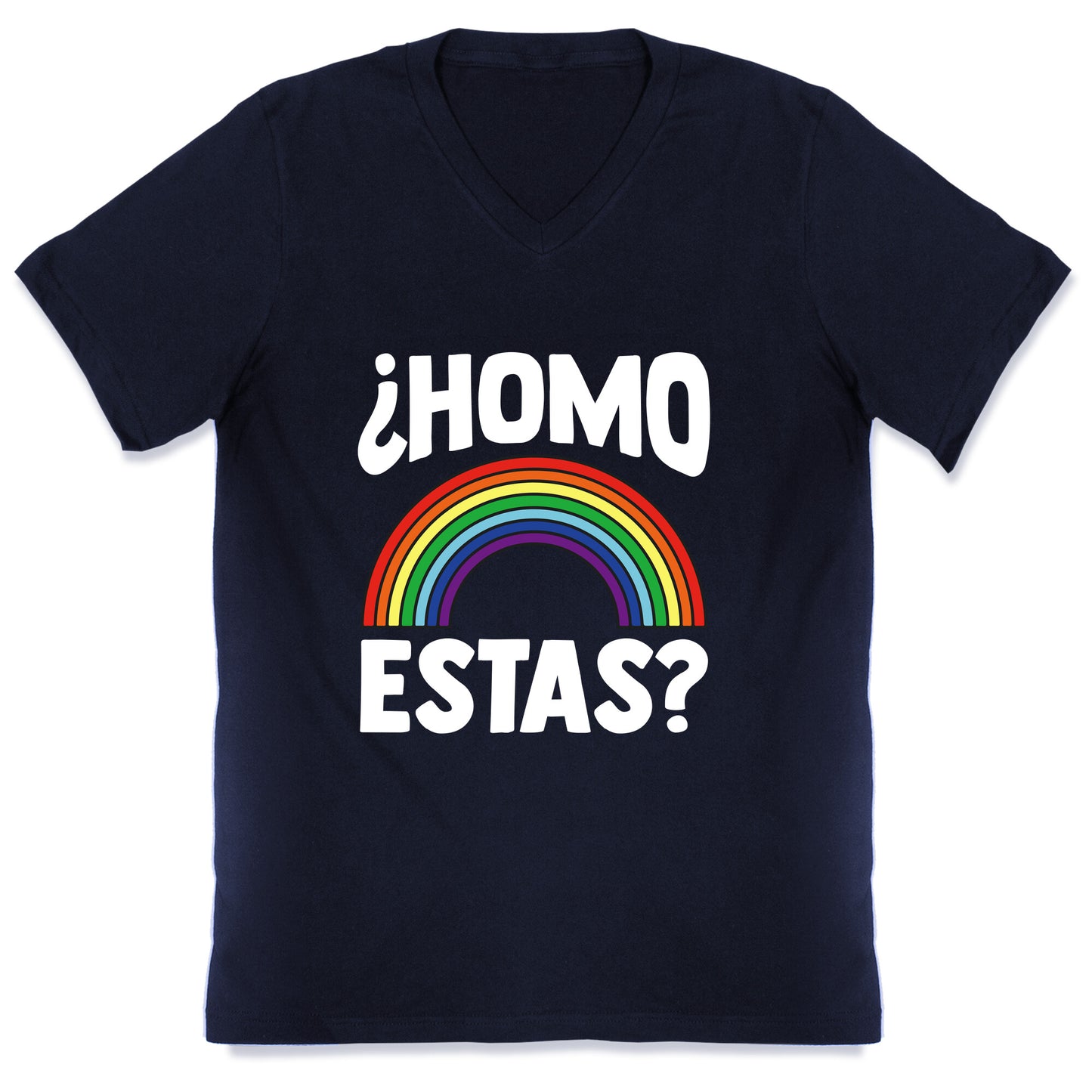 Homo Estas Rainbow Pride V-Neck