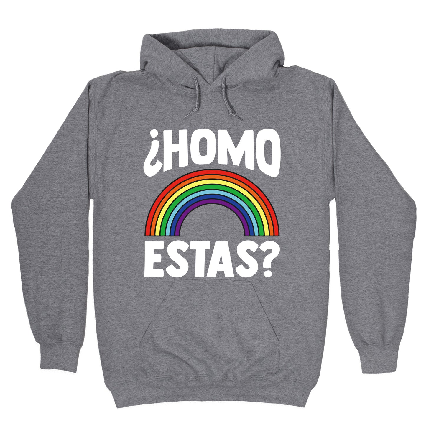Homo Estas Rainbow Pride Hoodie