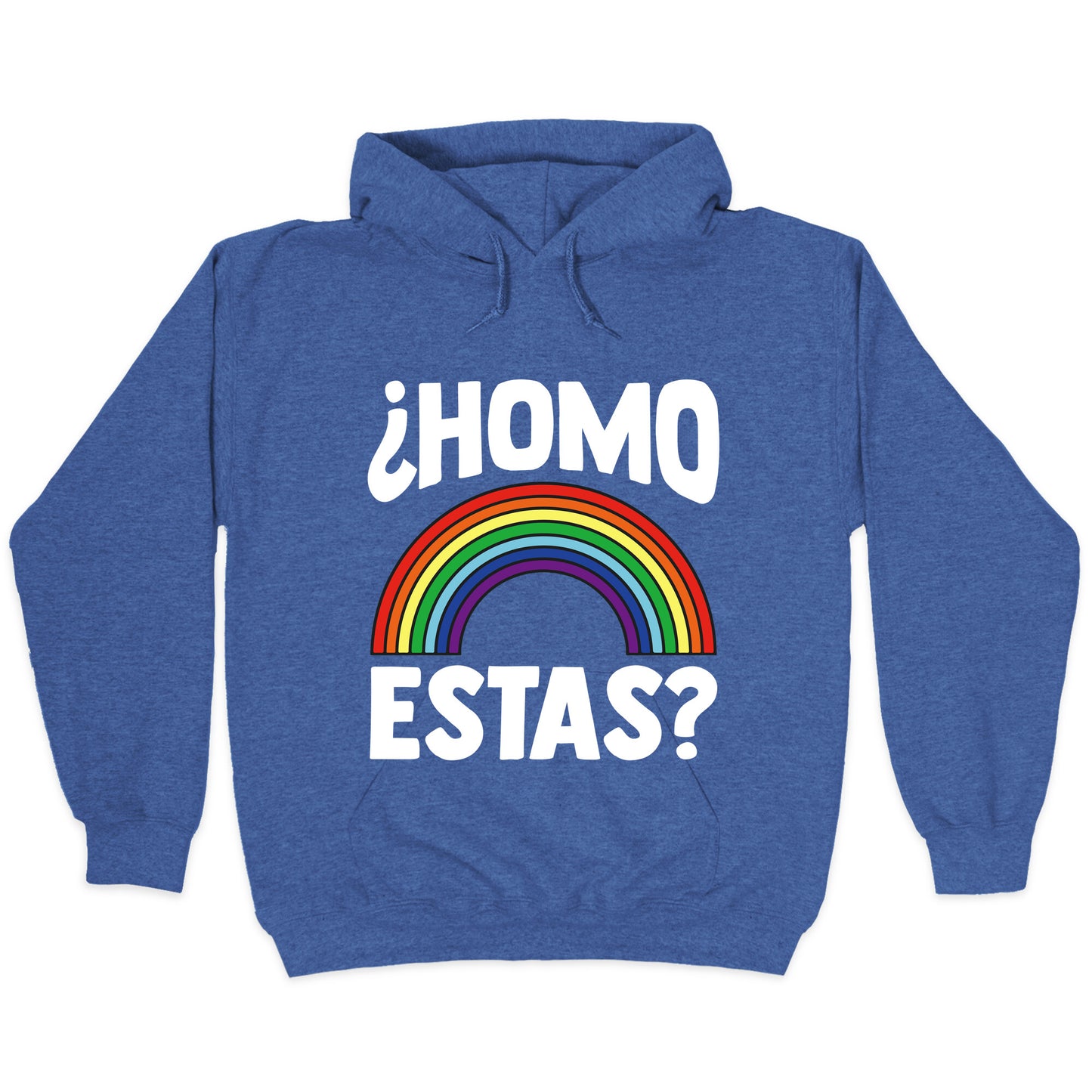 Homo Estas Rainbow Pride Hoodie