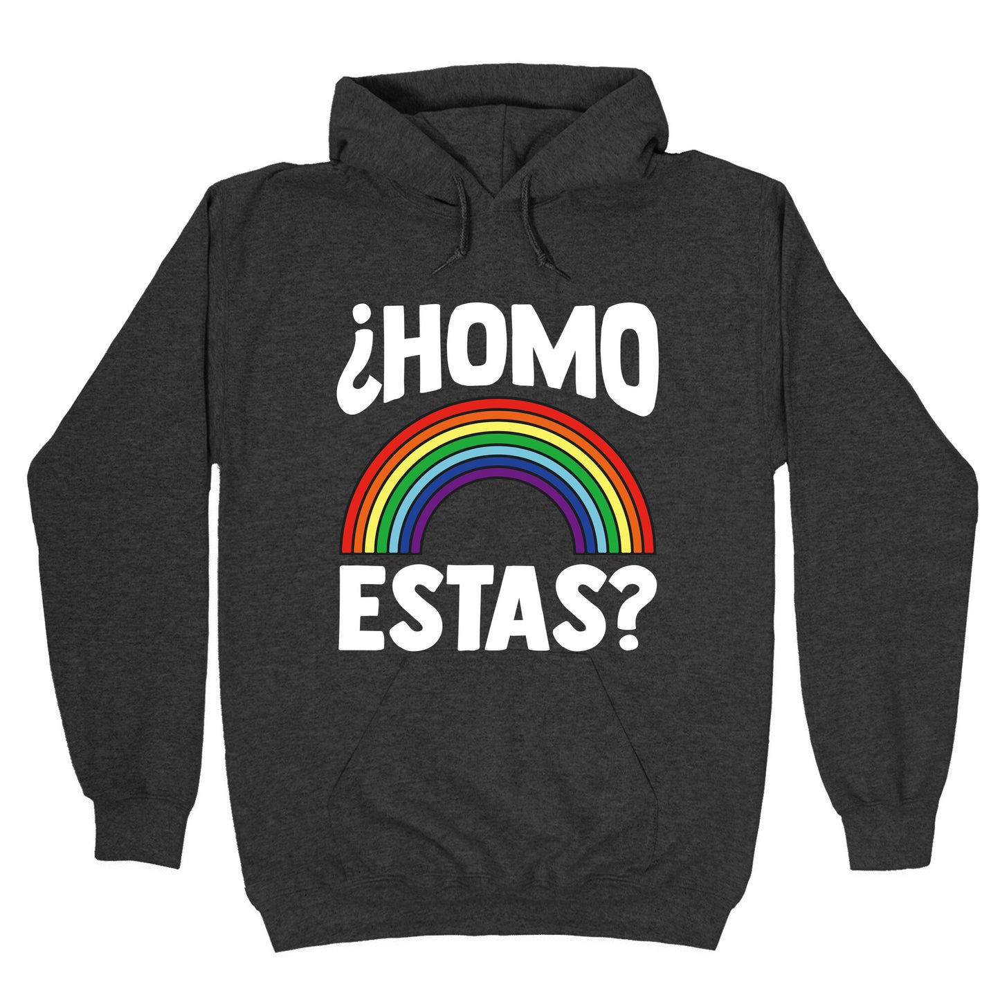 Homo Estas Rainbow Pride Hoodie