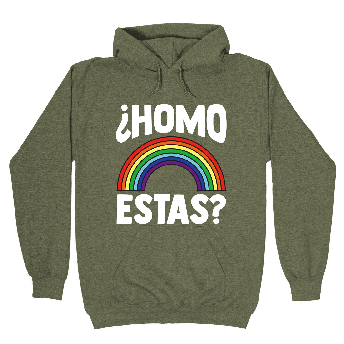 Homo Estas Rainbow Pride Hoodie