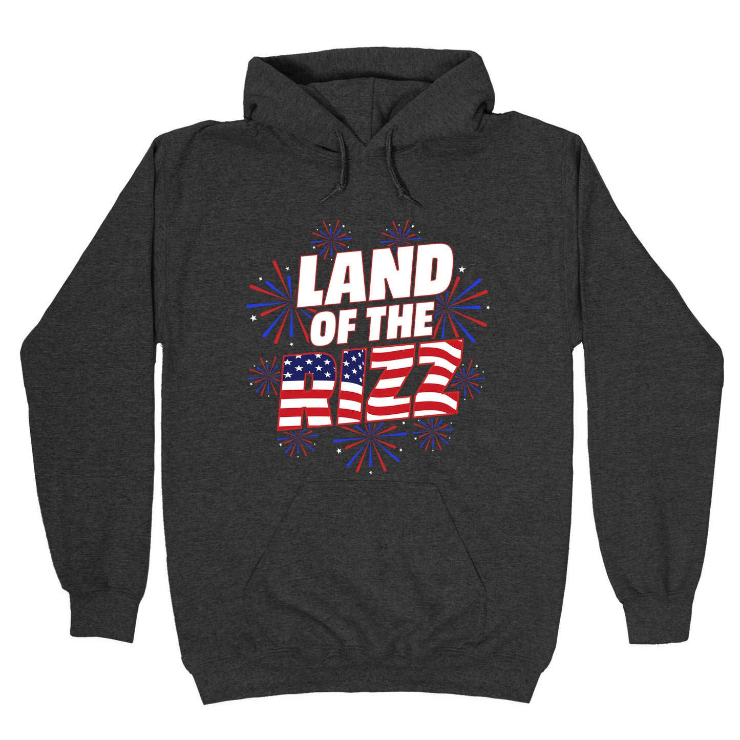 Land of the Rizz Hoodie