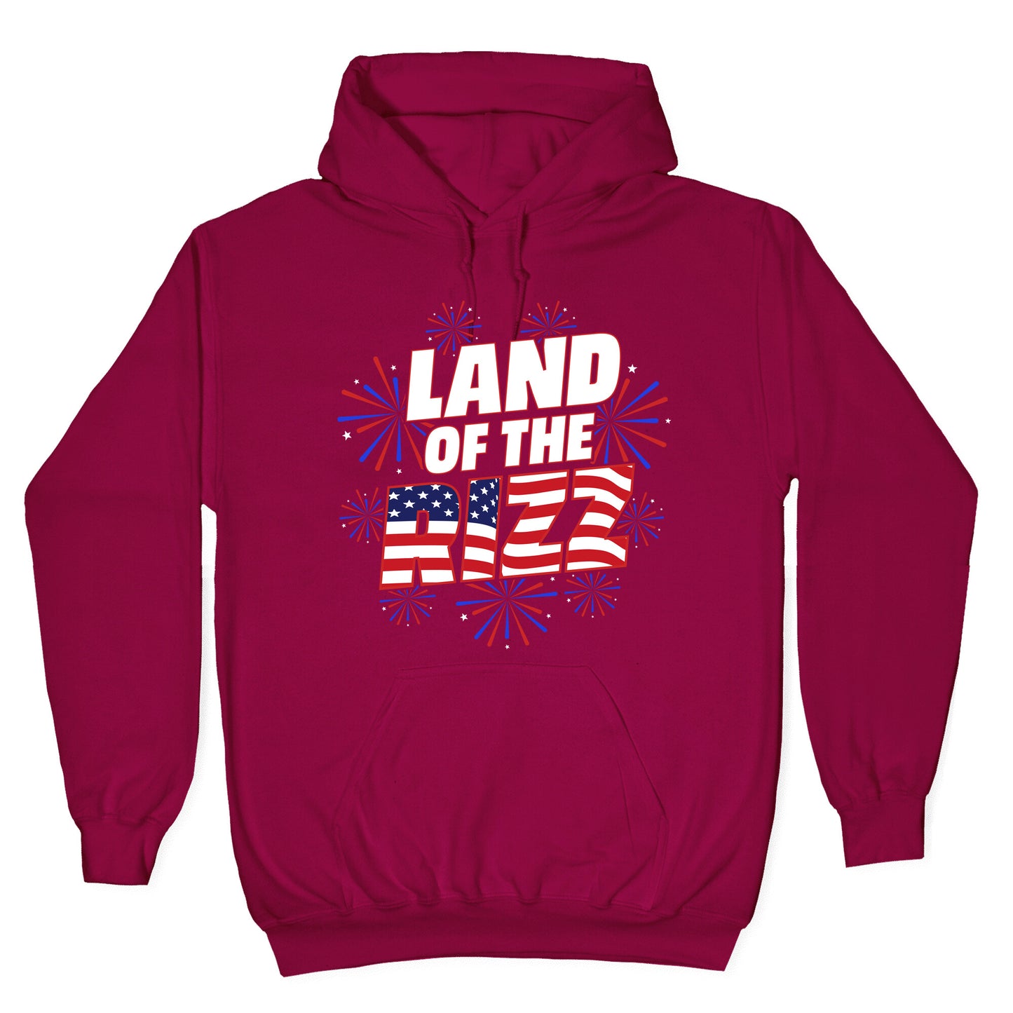 Land of the Rizz Hoodie