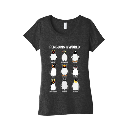 Penguins of the World Womens Triblend Tee