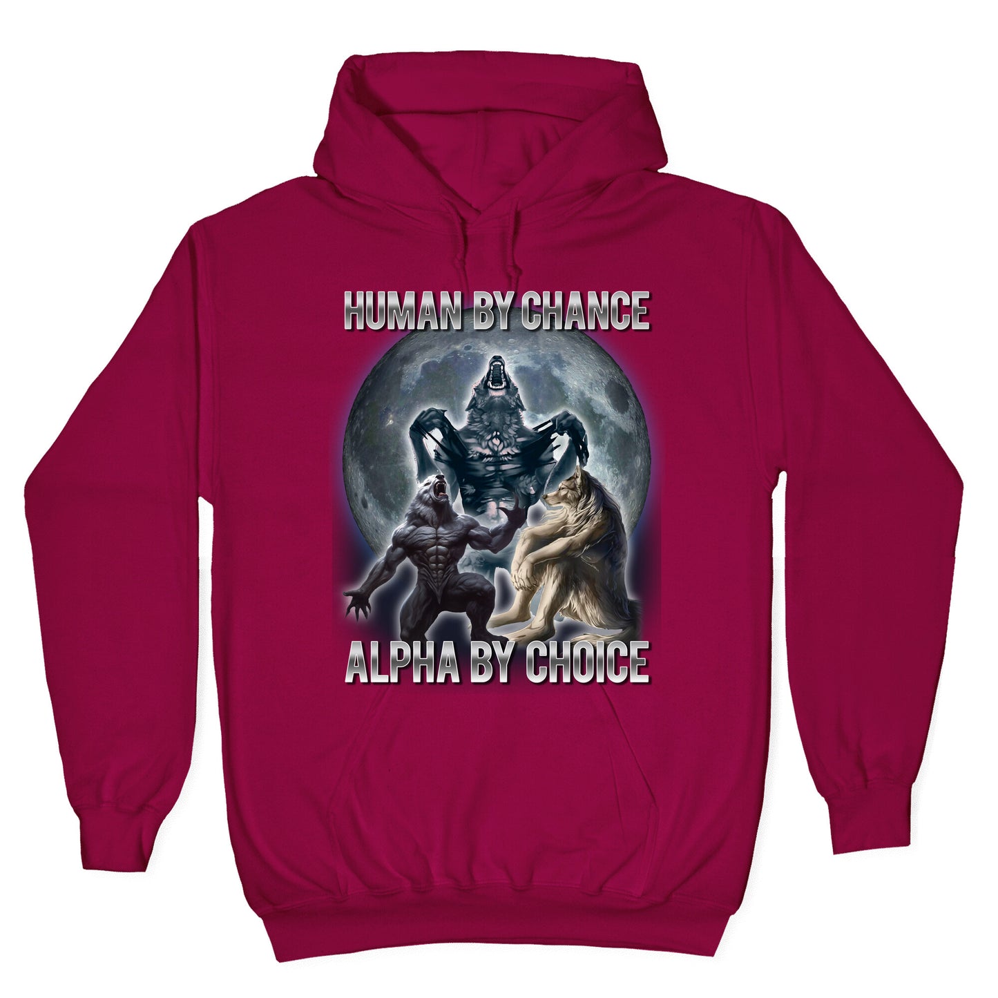 Human by Chance, Alpha by Choice Hoodie