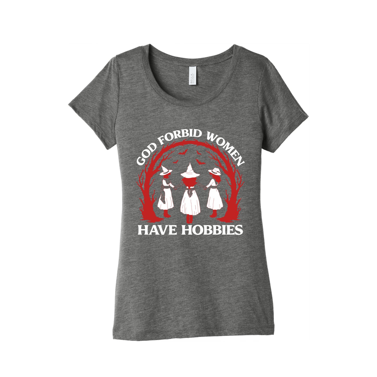 Women Have Hobbies Womens Triblend Tee