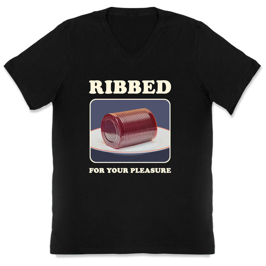 Ribbed for Your Pleasure V-Neck