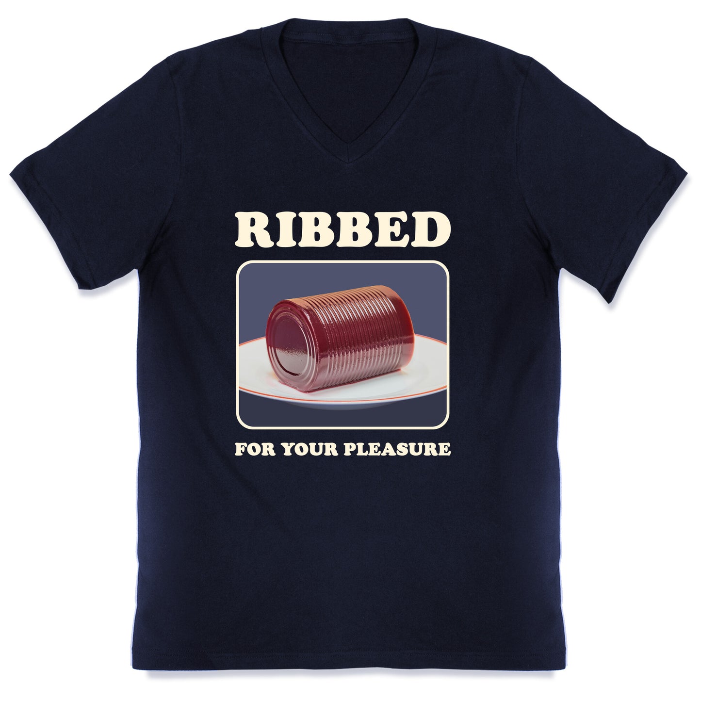 Ribbed for Your Pleasure V-Neck