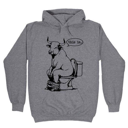 This is Bullshit Hoodie