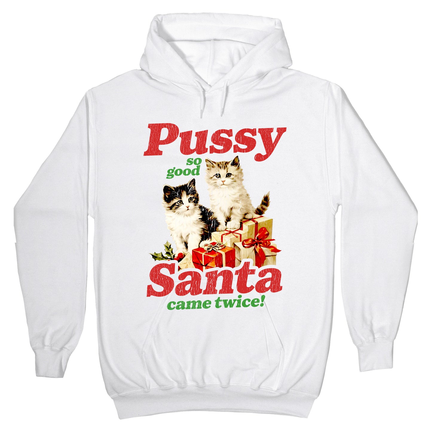 Pussy So Good Santa Came Twice Hoodie