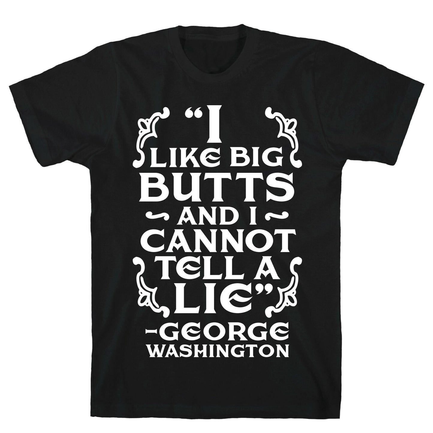 I Like Big Butts And I Cannot Tell A Lie T-Shirt