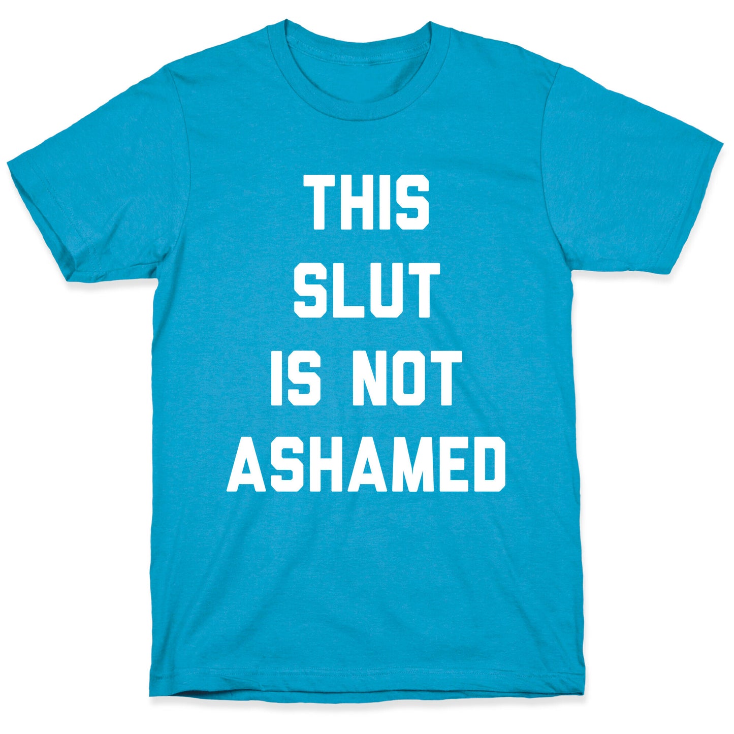 This Slut Is Not Ashamed Unisex Triblend Tee