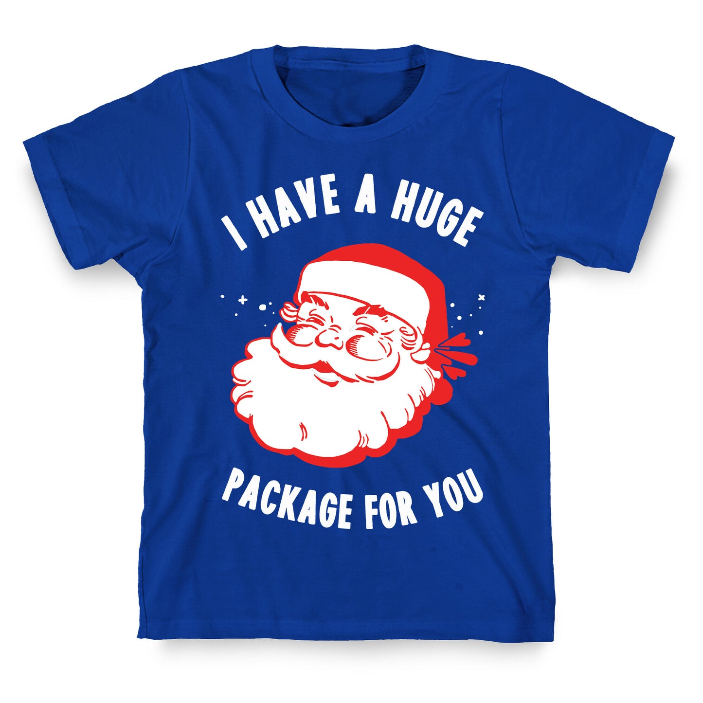 I Have A Huge Package For You Santa T-Shirt