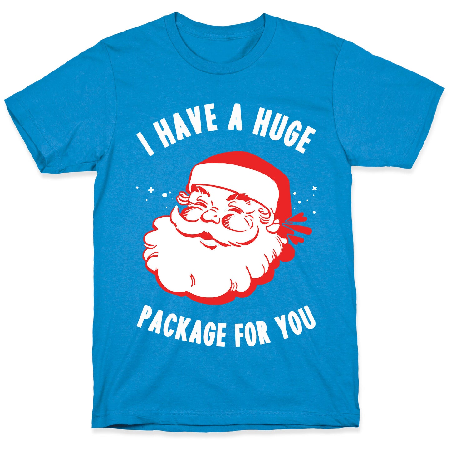I Have A Huge Package For You Santa T-Shirt