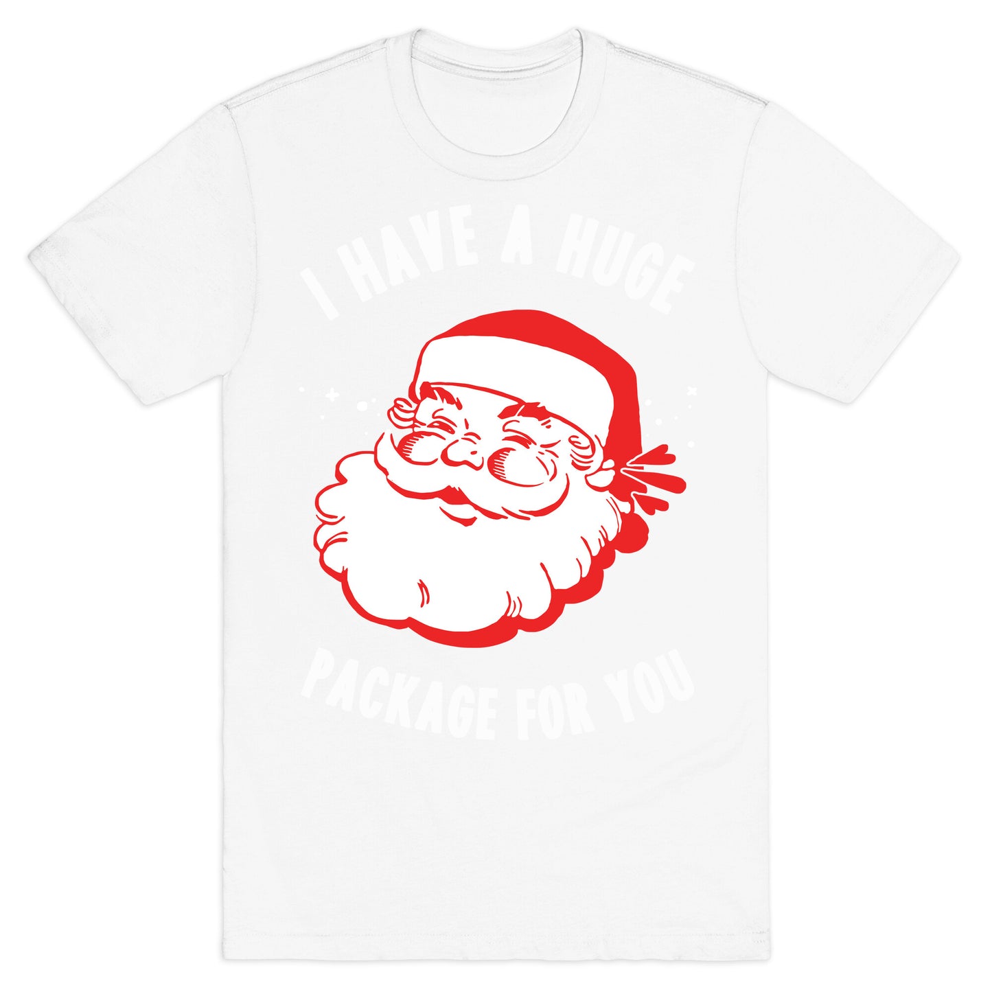 I Have A Huge Package For You Santa T-Shirt