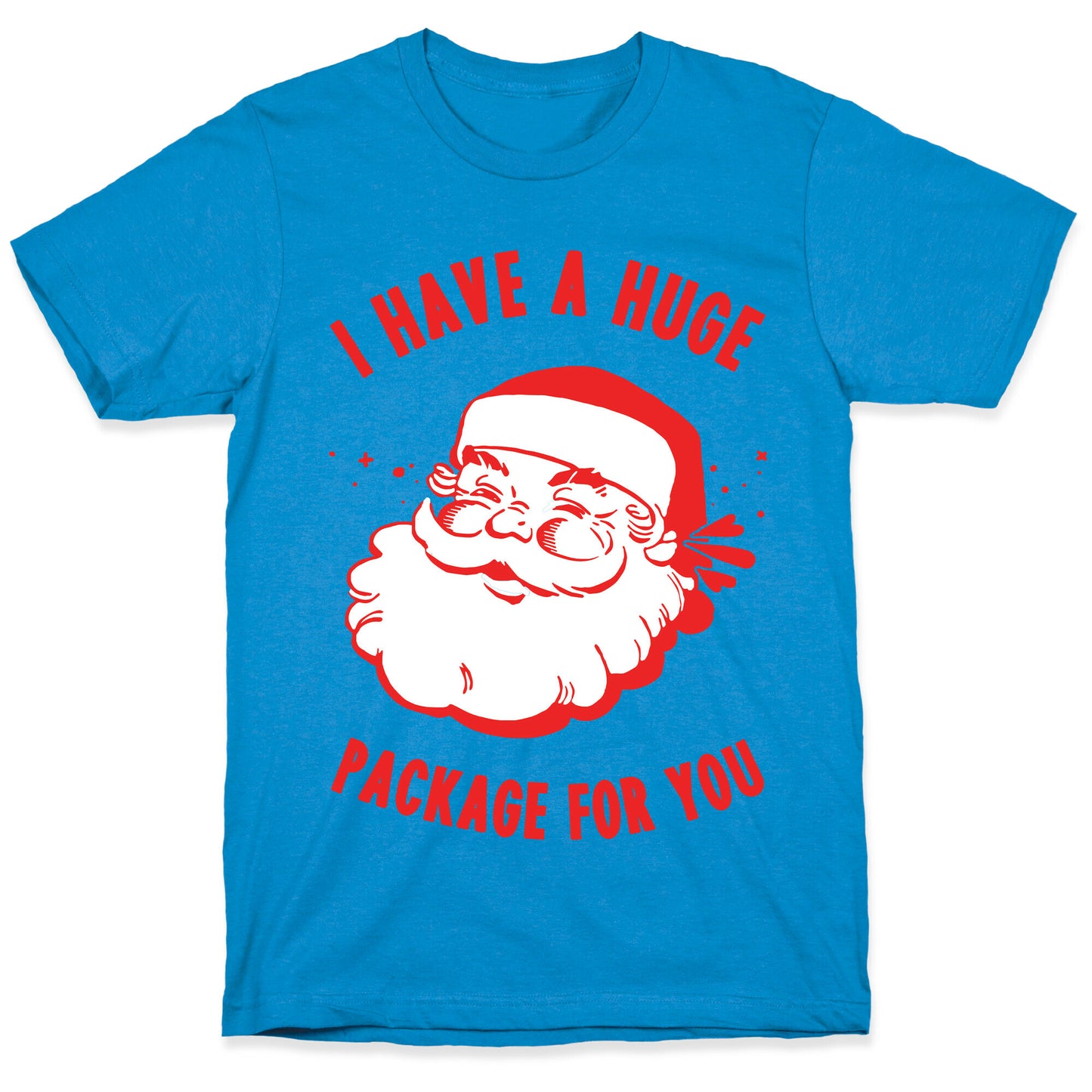 I Have A Huge Package For You Santa T-Shirt
