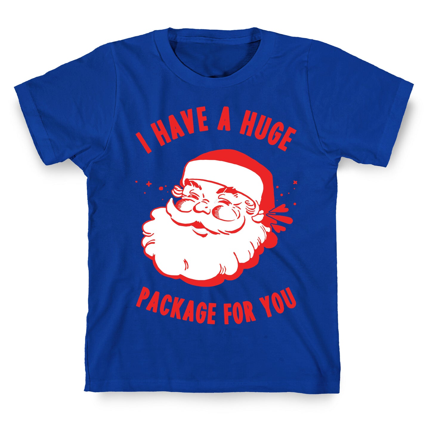 I Have A Huge Package For You Santa T-Shirt