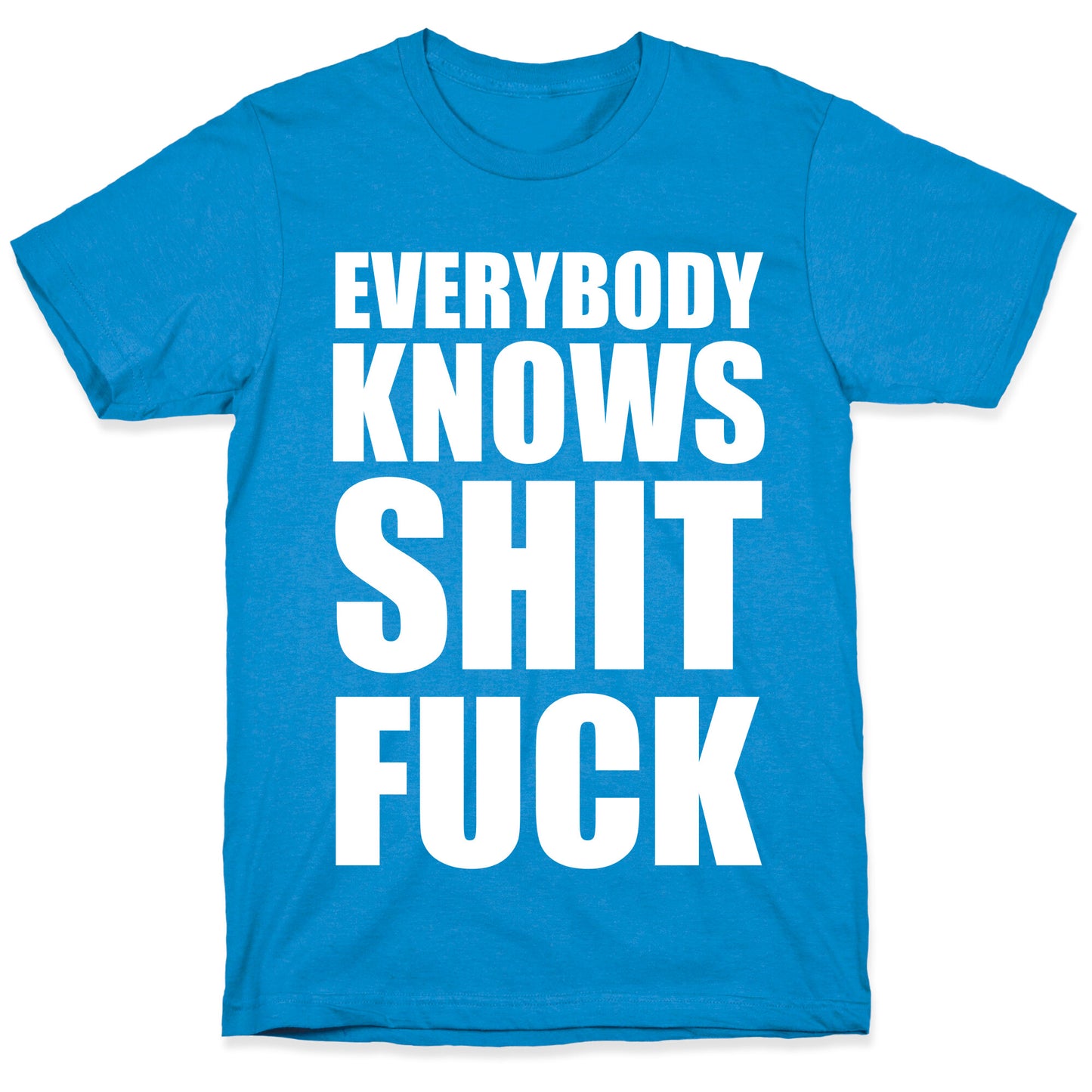 Everybody Knows Shit Fuck T-Shirt