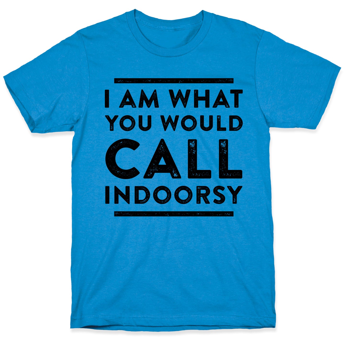 I Am What You Would Call Indoorsy T-Shirt